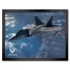 U.S. Air Force F-22 Framed Print