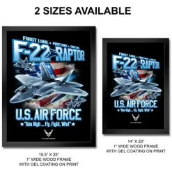 U.S. Air Force F-22 Raptor Framed Print