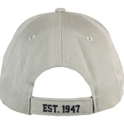 US Air Force Logo Twill Hat - Grey