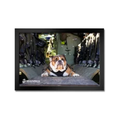 U.S. Marine Corps Bulldog Framed Print