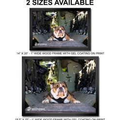 U.S. Marine Corps Bulldog Framed Print